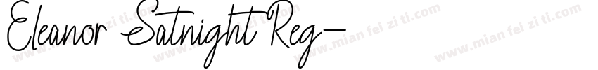 Eleanor Satnight Reg字体转换
